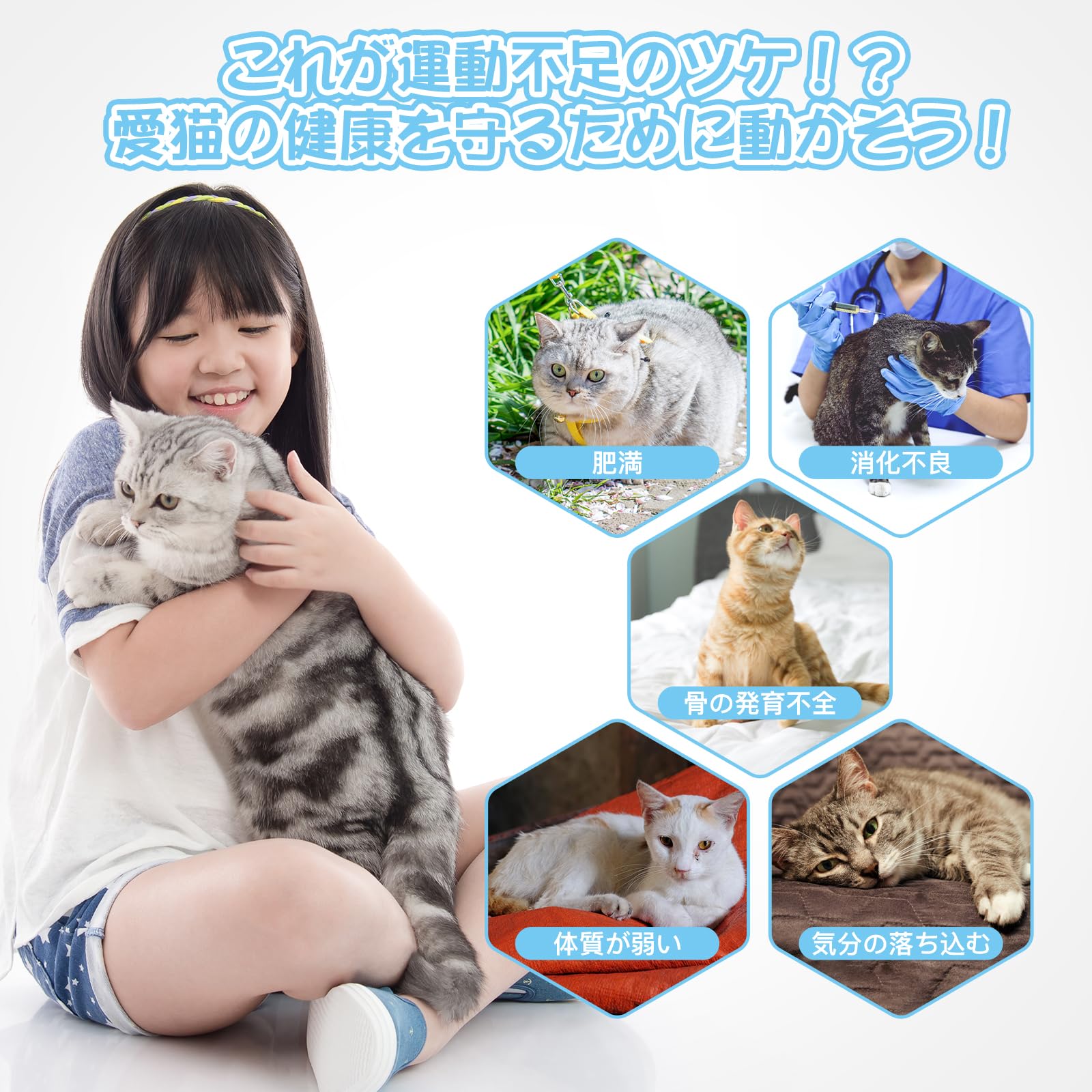 Amazon.co.jp: HOVONO 万歩計付きキャットホイール 非常にシンプルで
